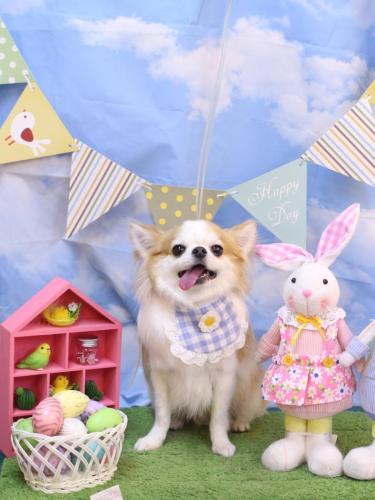 20240323くうくん